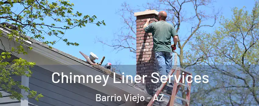 Chimney Liner Services Barrio Viejo - AZ