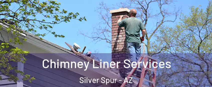 Chimney Liner Services Silver Spur - AZ