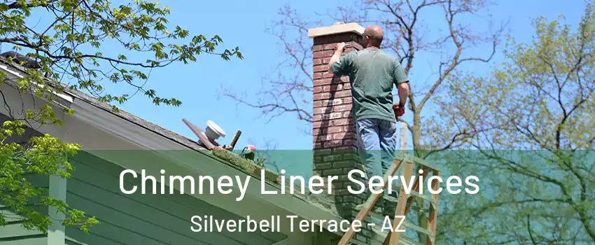 Chimney Liner Services Silverbell Terrace - AZ