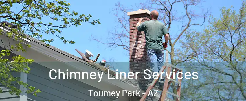 Chimney Liner Services Toumey Park - AZ