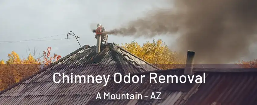 Chimney Odor Removal A Mountain - AZ