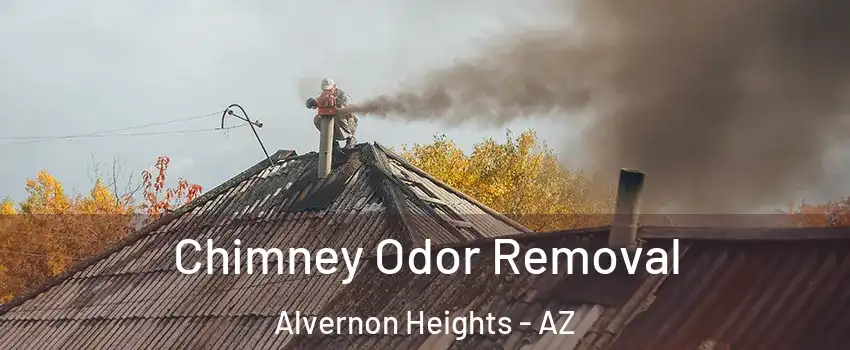 Chimney Odor Removal Alvernon Heights - AZ