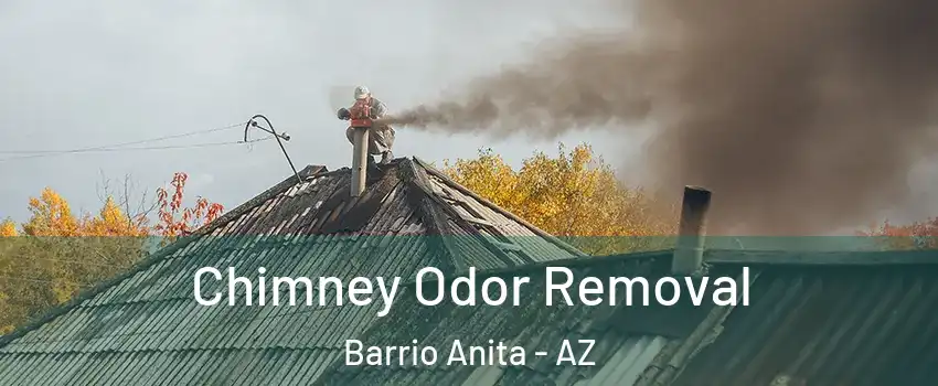 Chimney Odor Removal Barrio Anita - AZ