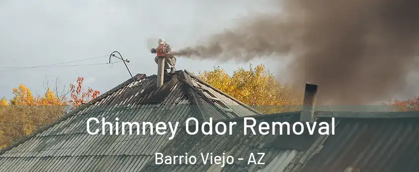 Chimney Odor Removal Barrio Viejo - AZ