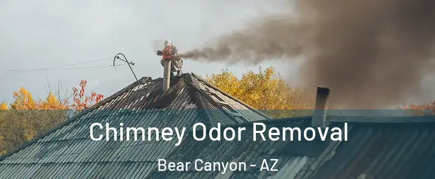 Chimney Odor Removal Bear Canyon - AZ