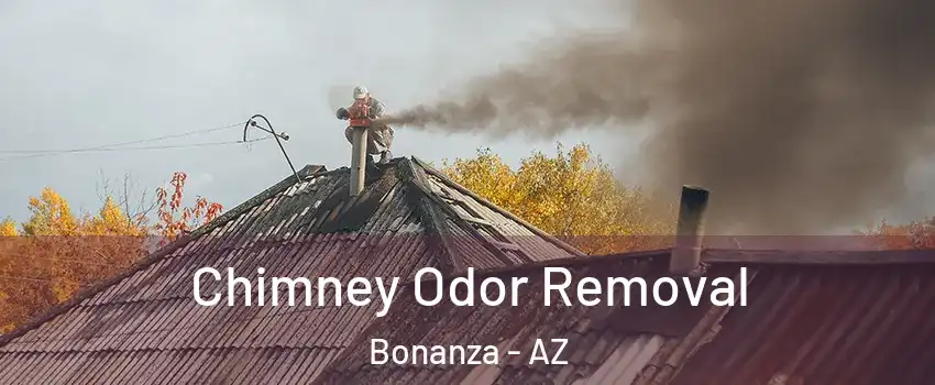 Chimney Odor Removal Bonanza - AZ