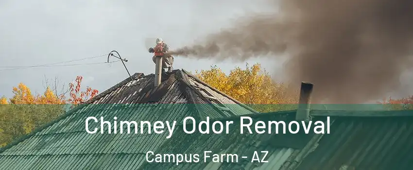 Chimney Odor Removal Campus Farm - AZ