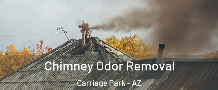 Chimney Odor Removal Carriage Park - AZ