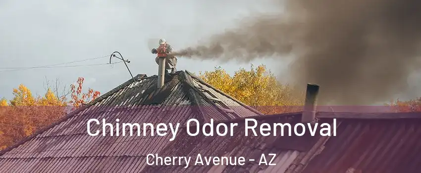 Chimney Odor Removal Cherry Avenue - AZ