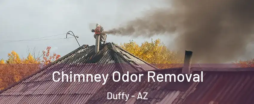 Chimney Odor Removal Duffy - AZ