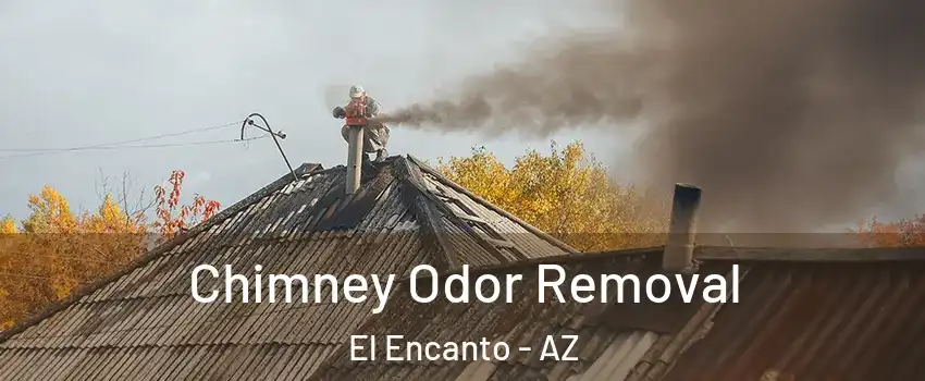 Chimney Odor Removal El Encanto - AZ