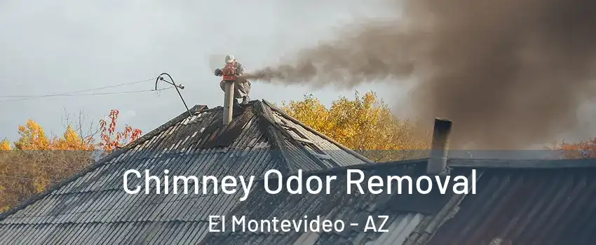 Chimney Odor Removal El Montevideo - AZ