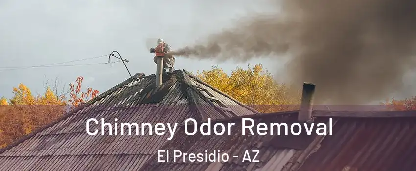 Chimney Odor Removal El Presidio - AZ