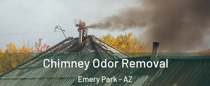 Chimney Odor Removal Emery Park - AZ