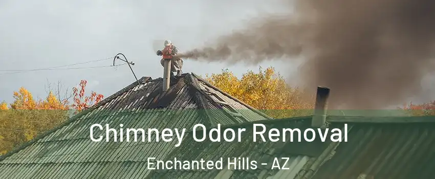 Chimney Odor Removal Enchanted Hills - AZ
