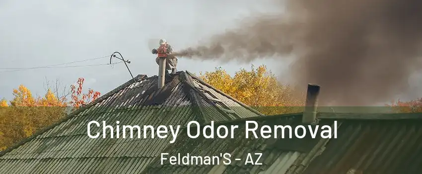 Chimney Odor Removal Feldman'S - AZ