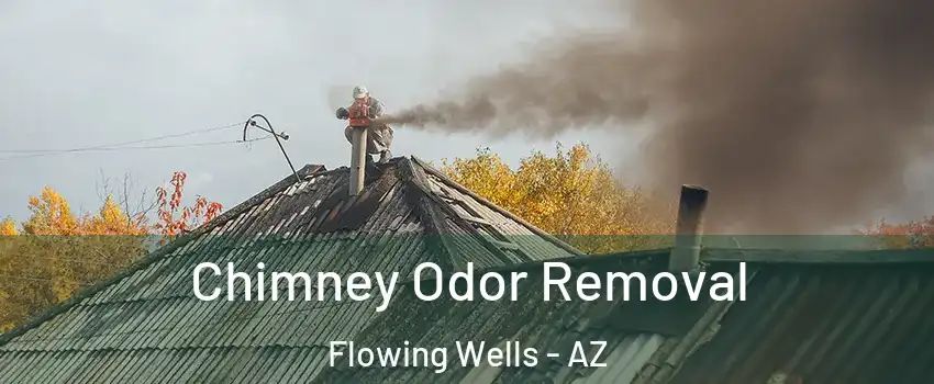 Chimney Odor Removal Flowing Wells - AZ