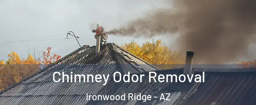 Chimney Odor Removal Ironwood Ridge - AZ