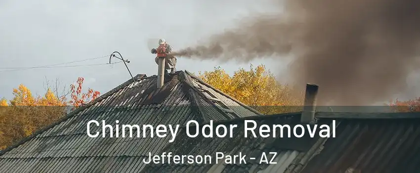 Chimney Odor Removal Jefferson Park - AZ