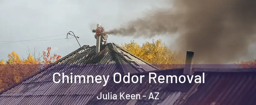 Chimney Odor Removal Julia Keen - AZ