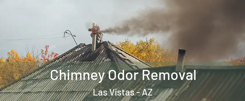 Chimney Odor Removal Las Vistas - AZ