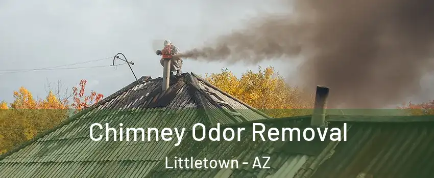 Chimney Odor Removal Littletown - AZ