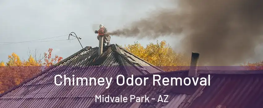 Chimney Odor Removal Midvale Park - AZ