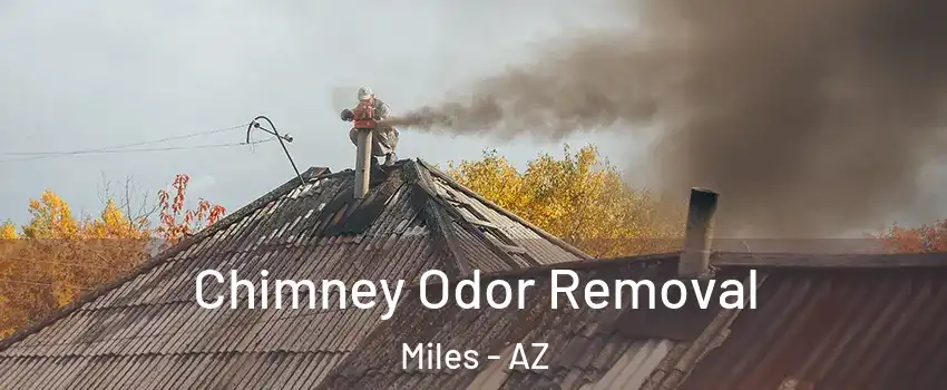Chimney Odor Removal Miles - AZ