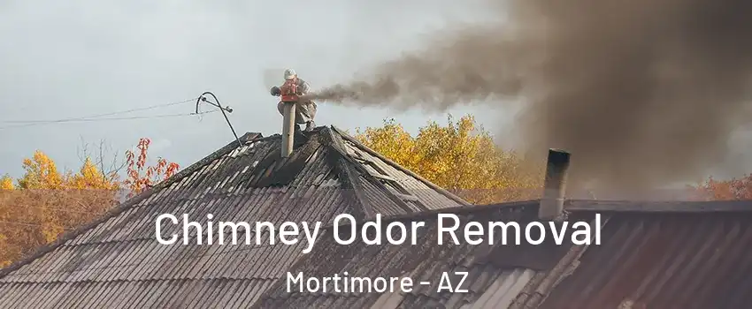 Chimney Odor Removal Mortimore - AZ