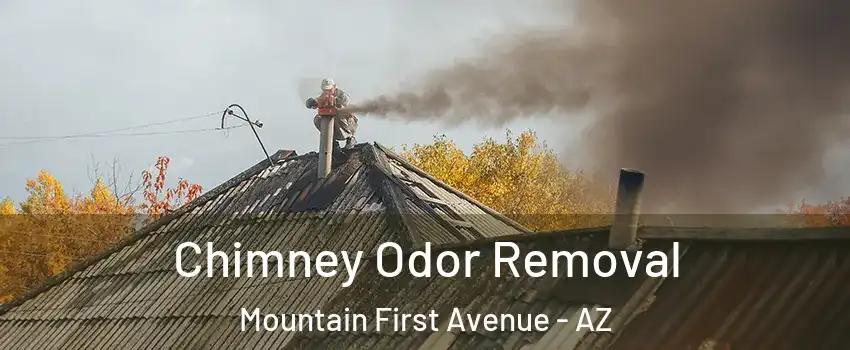 Chimney Odor Removal Mountain First Avenue - AZ