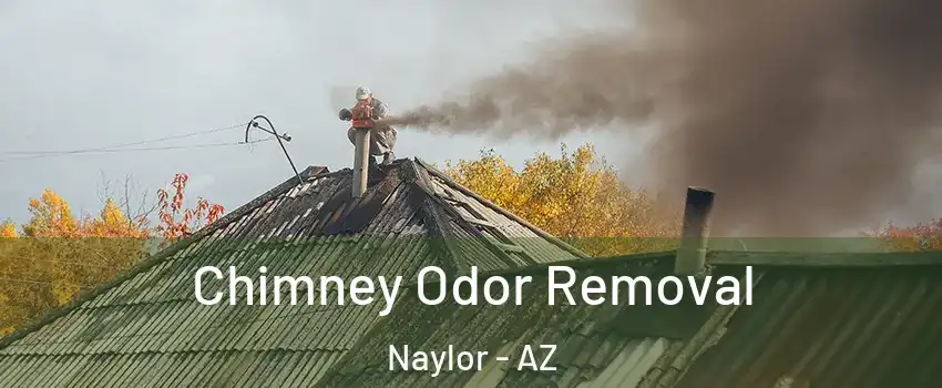 Chimney Odor Removal Naylor - AZ