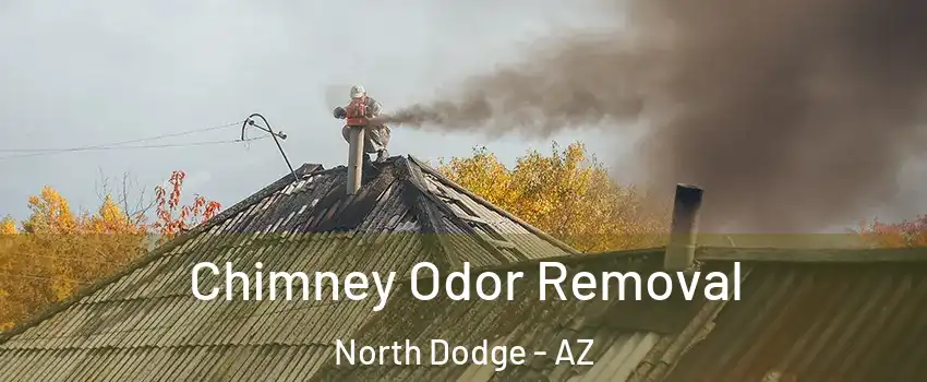 Chimney Odor Removal North Dodge - AZ
