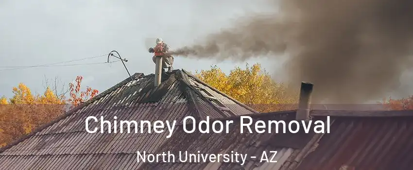 Chimney Odor Removal North University - AZ