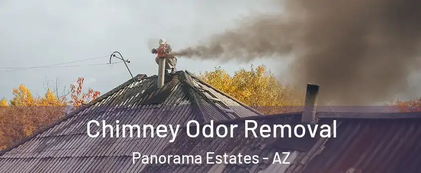 Chimney Odor Removal Panorama Estates - AZ