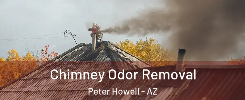 Chimney Odor Removal Peter Howell - AZ