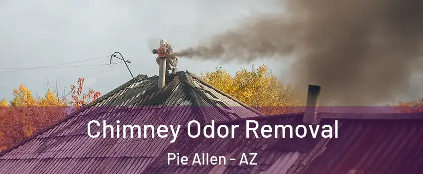 Chimney Odor Removal Pie Allen - AZ