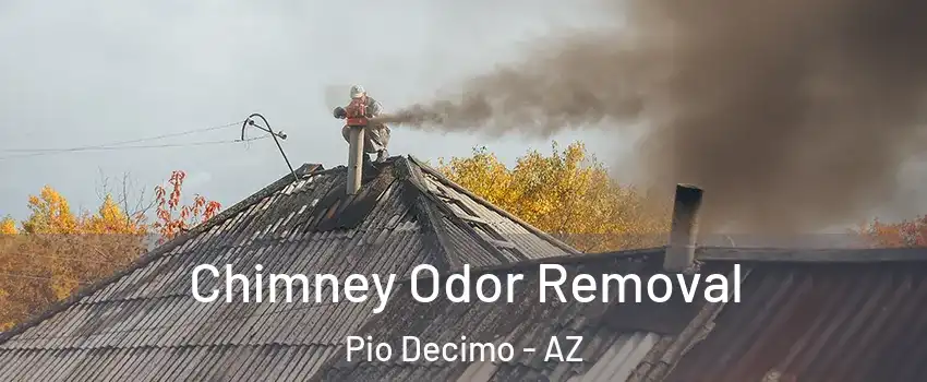 Chimney Odor Removal Pio Decimo - AZ