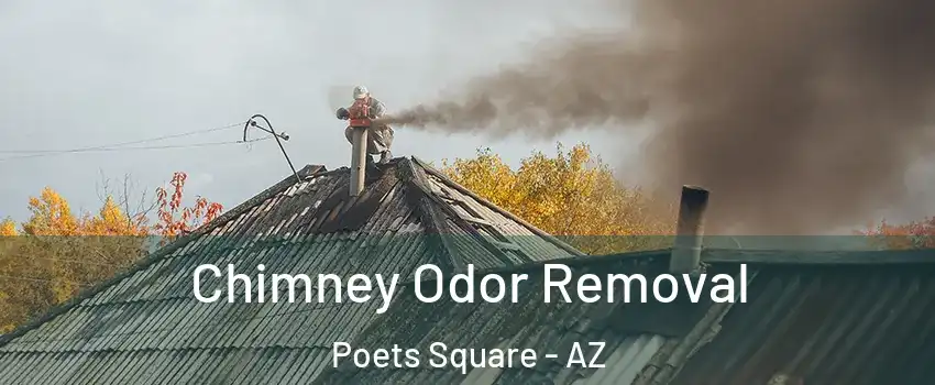 Chimney Odor Removal Poets Square - AZ
