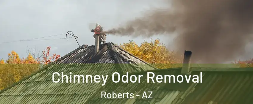 Chimney Odor Removal Roberts - AZ