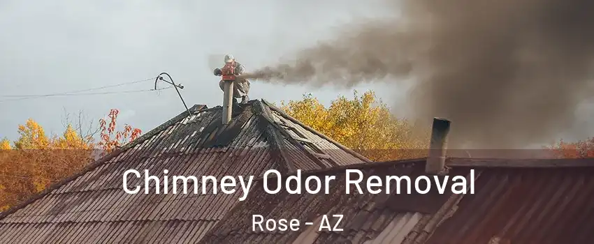 Chimney Odor Removal Rose - AZ