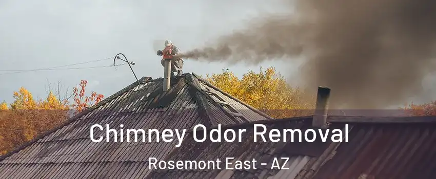 Chimney Odor Removal Rosemont East - AZ