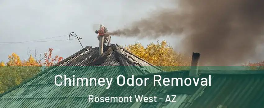 Chimney Odor Removal Rosemont West - AZ