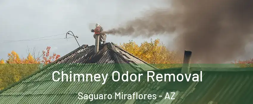 Chimney Odor Removal Saguaro Miraflores - AZ