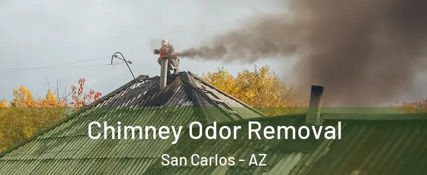 Chimney Odor Removal San Carlos - AZ