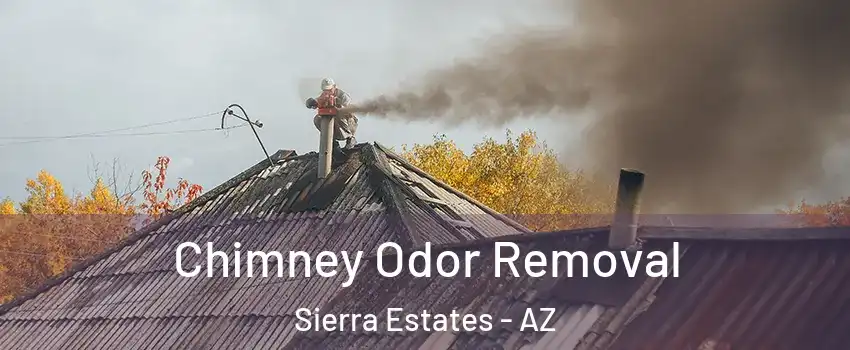 Chimney Odor Removal Sierra Estates - AZ
