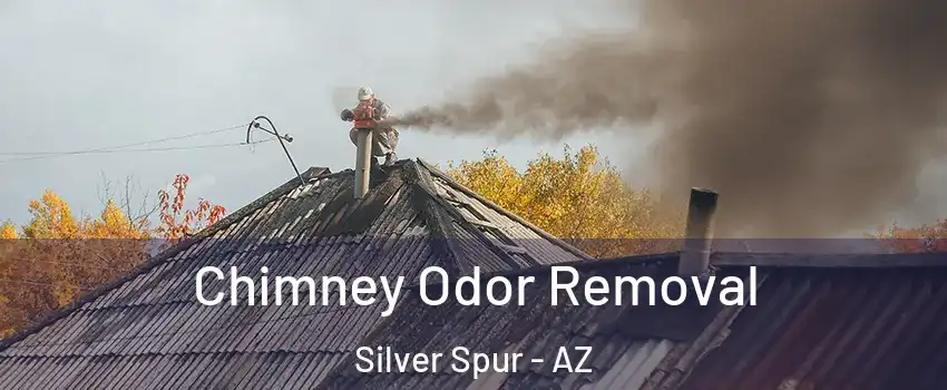 Chimney Odor Removal Silver Spur - AZ