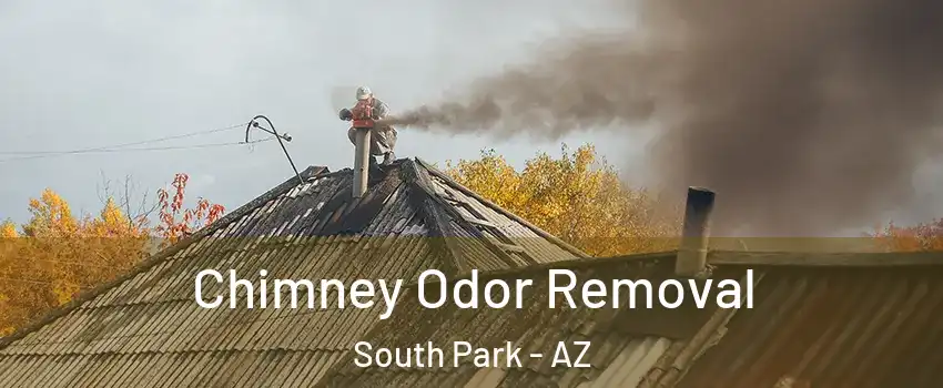 Chimney Odor Removal South Park - AZ