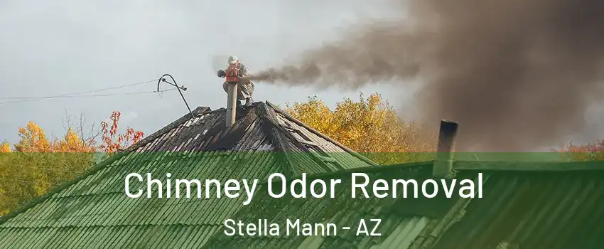 Chimney Odor Removal Stella Mann - AZ