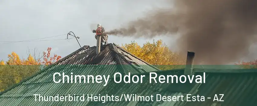Chimney Odor Removal Thunderbird Heights/Wilmot Desert Esta - AZ