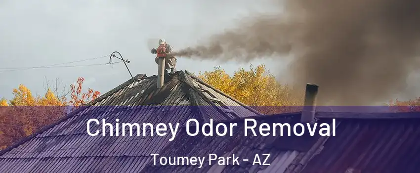 Chimney Odor Removal Toumey Park - AZ